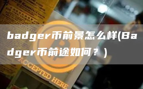 badgr币前景怎么样 - Badgr币前途如何？